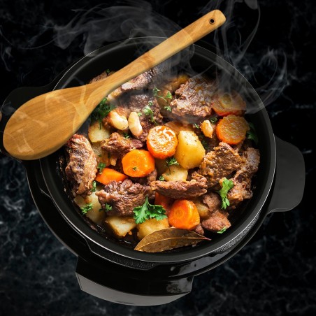 Olla Robot Programable